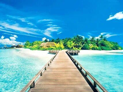 Website Design E-commerce